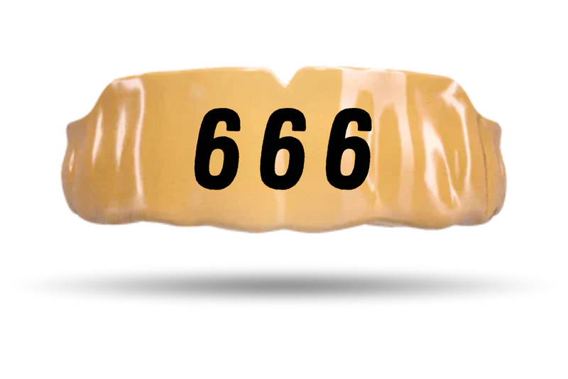 Angel Numbers - Image 6